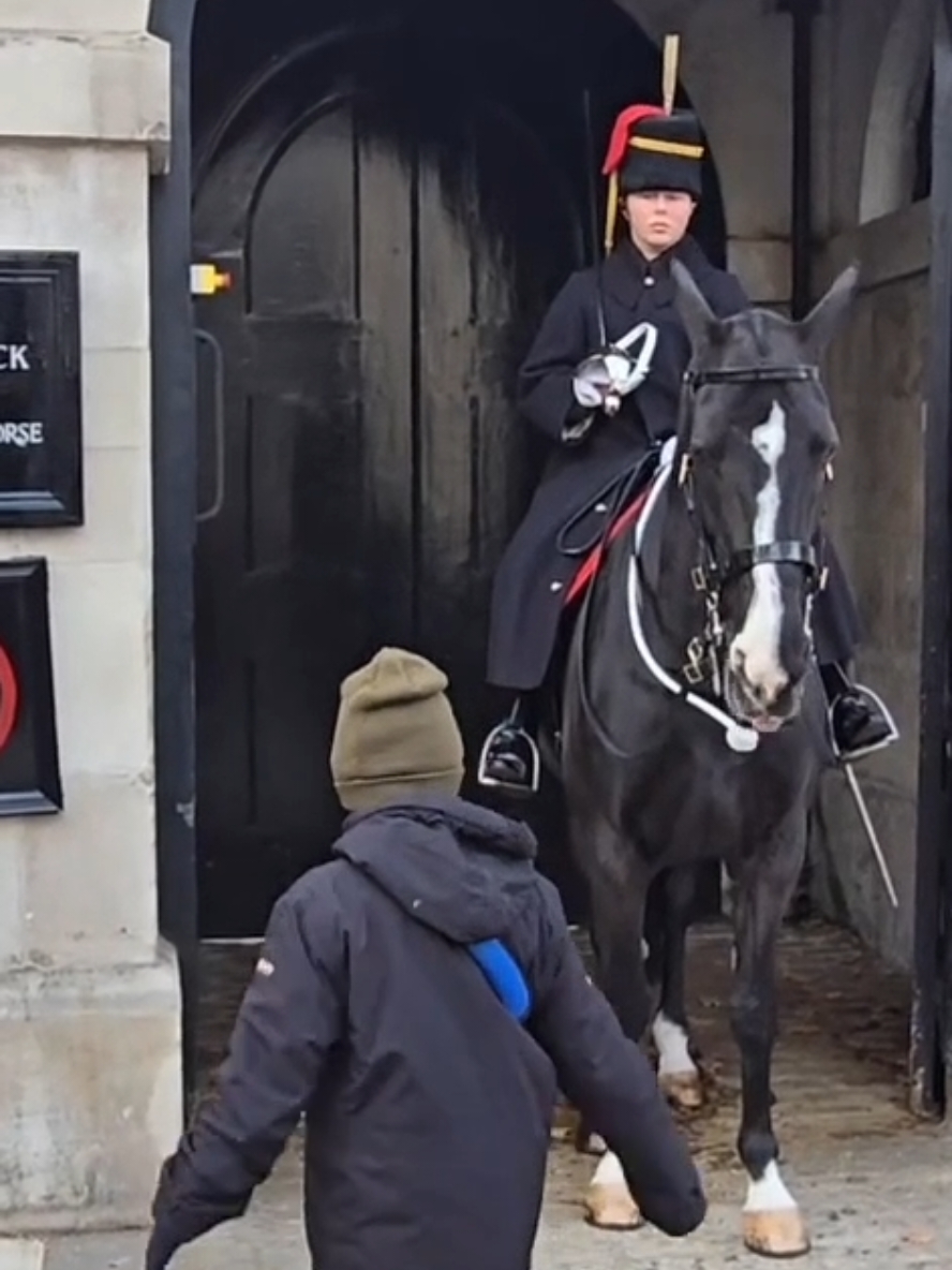 #kingstrooproyalhorseartillary #kingstroop #fyp #kingtroop #horse #horseguardsparade #london 