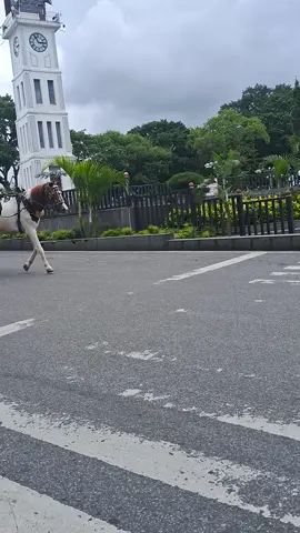 #Kudobendi #Bukittinggi #pasaateh #jamgadang