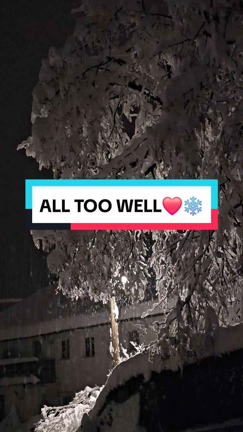 I still remember the first fall of snow❄️ and how it glistened as it fell.✨️ I remember it all too well.❤️ #alltoowell #taylorswift #snow #taylornation #fy #swifties #viral #wintervibes 