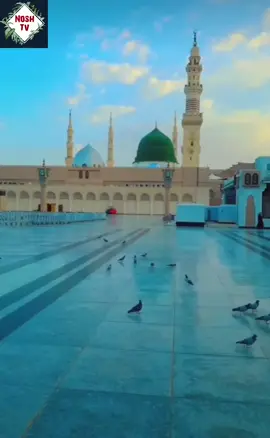 Beautiful Darood❤❤ #foreyoupage #foreyou #viral_video #quran #islam #allahuakbar #prophetemuhammad #darood 