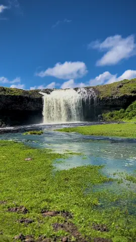 Finca'aa Haberaa (Habera Waterfall) 📍Bale Mountains National Park, Oromia, Ethiopia #waterfall #baaliyyoo #balemountainsnationalpark #travel #Hiking #explore #fyp #oromotiktok #ethiopian_tik_tok #oromia #ethiopia #africa #world @Visit Oromia 