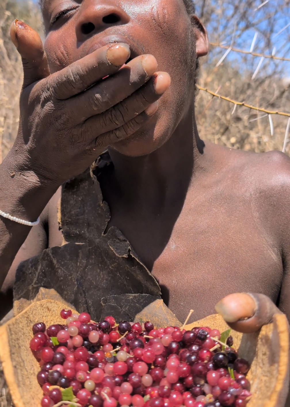 Favorite fruit 🍓🍓 Very sweet 🍎🤤hadza hunt's enjoy Natural fruit#culture #bushmen #africa 