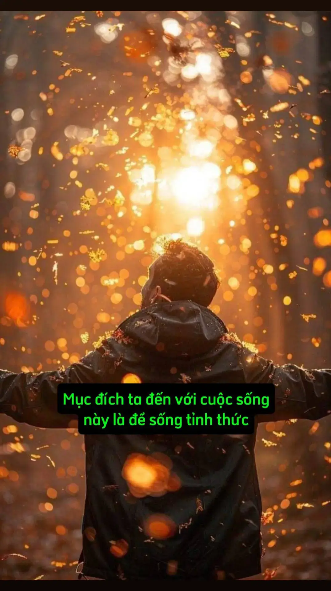 #tritueconhan_ #baihoccuocsong #trietlycuocsong #LearnOnTikTok 