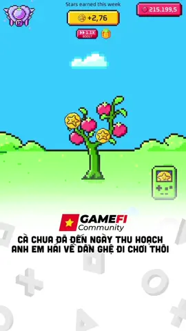 Anh em nông dân trồng cà cha đâu hết rồi, tới mùa thu hoạch rồiiii #xh #vngcmedia #gamefi #gamemobile #playtoearn #xuhuong #playtoairdrop #taptap #mmo #vngc #tomarket #airdrop #