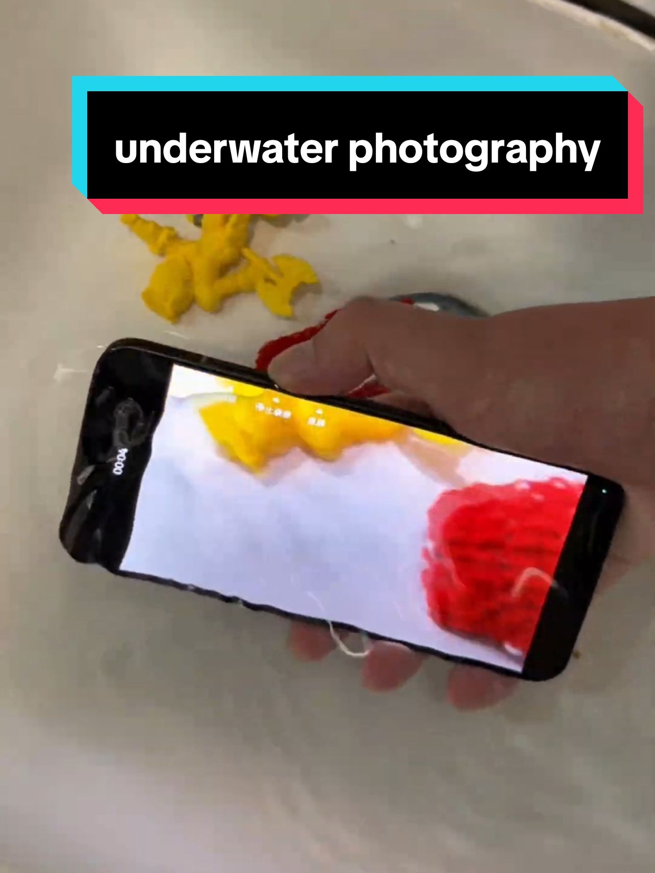 new oppo reno 13 underwater photography #oppo #opporeno13 #underwater 