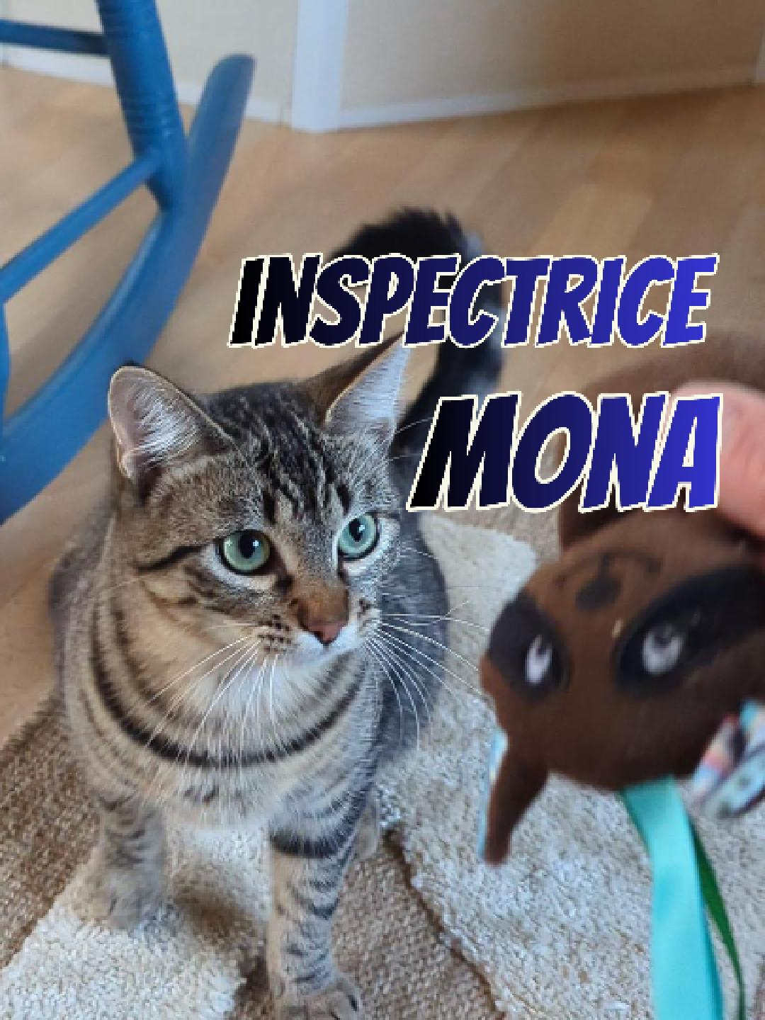 Mona risque son poste pour faire le ménage dans la chatterie 👮‍♀️