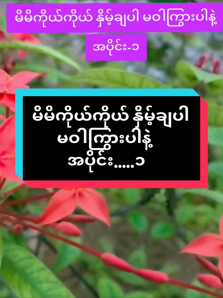 ဆရာလယ်တွင်းသားစောချစ်ဟောပြောတဲ့ မှတ်သားဖွယ်ရာများ💗💗🙏🙏💗💗 #ဆရာလယ်တွင်းသားစောချစ် #knowledge #knowledgesharing #fypage #trend #trending 