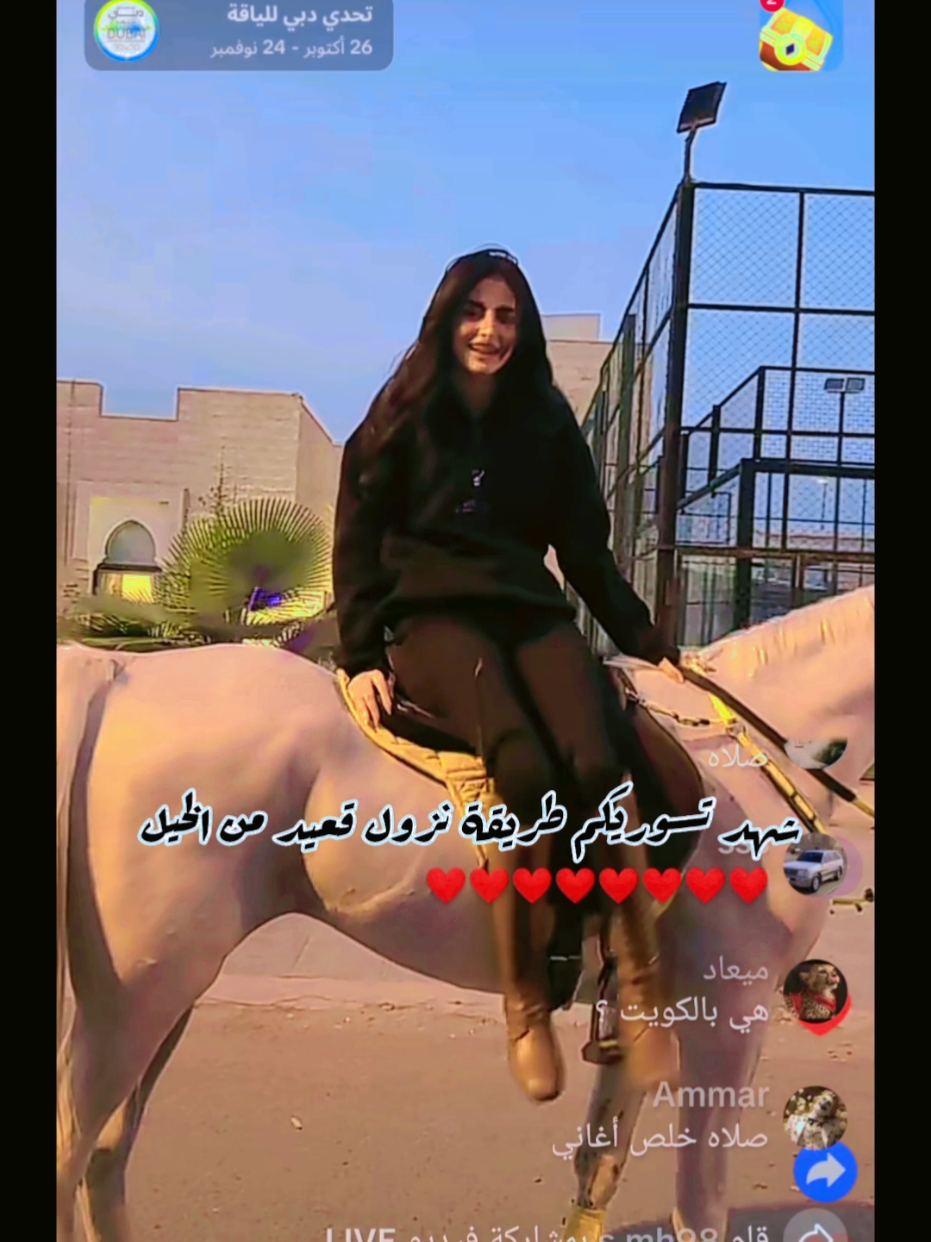 #قعيد #قعيدالمجد #شهدالشمري #خيل_وخياله🐎 @sh7azi_ 