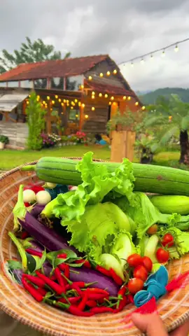 Người ta mơ về phố thị, tôi mơ về … miền quê. Tôi thích những chiều buông lang thang đây đó khắp đồng quê thả hồn thong dong rồi lặng yên ở một góc nào đó, ngẩn ngơ nhìn ánh chiều ta rơi rớt bên kia phía chân trời. Tôi thích quê, nơi mà chỉ cần thoáng qua tôi cũng mất vài giờ đồng hồ để ngẩn ngơ về tuổi thơ của mình.  Và rồi nơi đó cũng là nơi người ta thường mơ về phố thị, tười ta chấp nhận rời xa để để tìm kiếm những vùng đất mới, cuộc sống mới. Tôi thường nhớ tuổi thơ của mình, tôi nhớ đến mức muốn gom hết thẩy ánh nắng của hoàng hôn đêm đi bán chỉ để mua được chút tuổi thơ… ờ mà ai bán tuổi thơ đâu nhỉ! Những vộn bề cuộc sống, đôi khi cuốn phim ký ức ấy vào một miền xa xăm trong tâm trí. Tự hỏi có bao giờ bạn mơ về nó chưa. Năm năm sau, mười năm sau, hay bao nhiêu năm sau nữa, có giấc mơ nào lại bỏ quên? #đấtgarden 