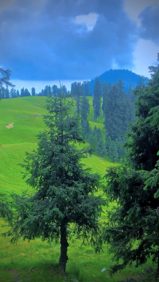 SKY Land dir KPK #kpk #fyp #کارودرہ #exploverdir #foryoufage #foryoufage #kumrat_valley #skylanddirk 