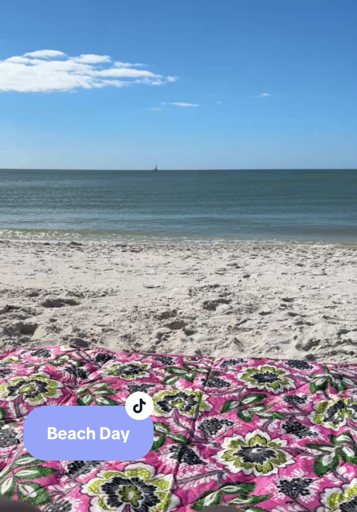 I honestly forget that the beach is an option most days😅 #beach #florida #naples #beachday #shells #seashell 