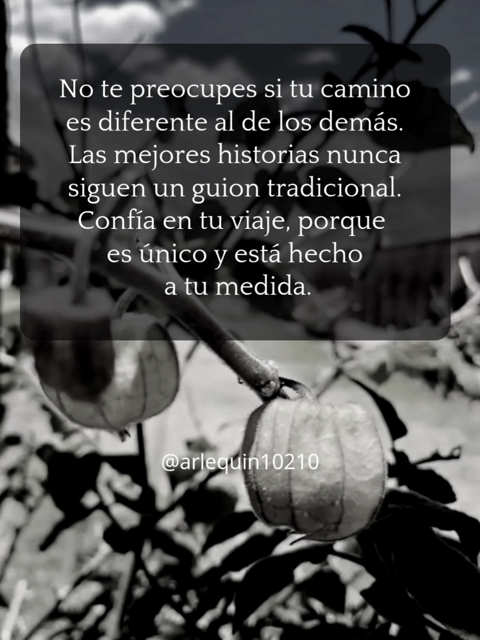 #22denoviembre #frasesconvideo #videosdiarios #fyp #viernes 