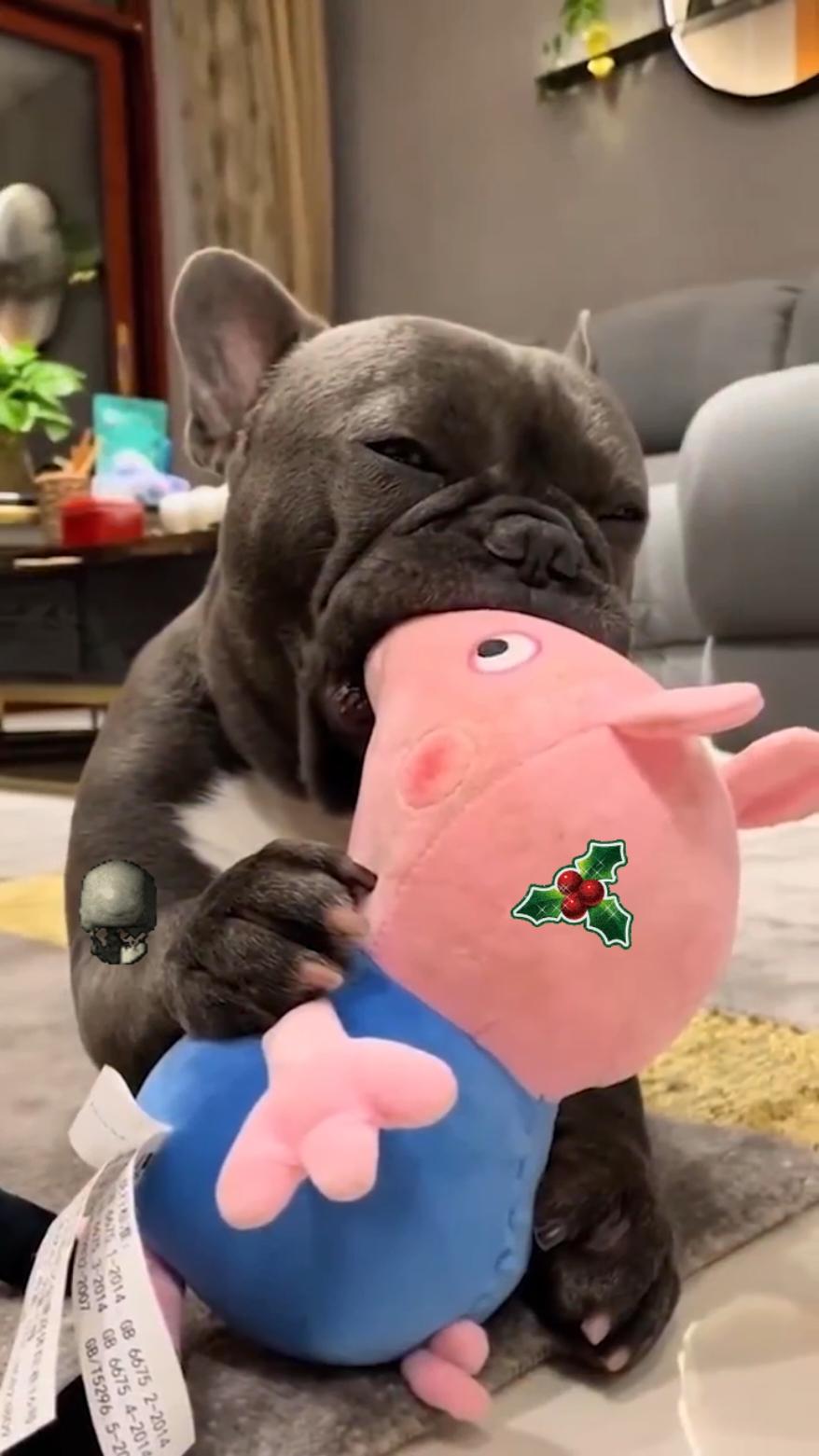 The First one 🙏😭❌🗣️💀👿 #zesty #zestytrends #blud #goofypollo #funnytiktok #goofyahh #fy #doglove #meme #algoritmotiktok #fypdong #funnyvideos #fyp #foryoupage #animals #goofyahhvideo #goofygoober #funny #goofyahhbeat #donpollo #blud 