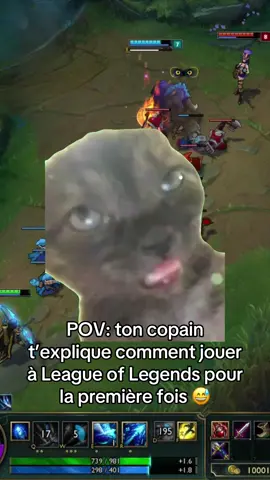 en vrai après j’ai compris, enfin je crois 🤷🏼‍♀️  #leagueoflegends #lol #gaming #boyfriend #lolfr #leagueoflegendsfr #riotgames #meme #catmeme #CapCut #couplegames #gamingfr 