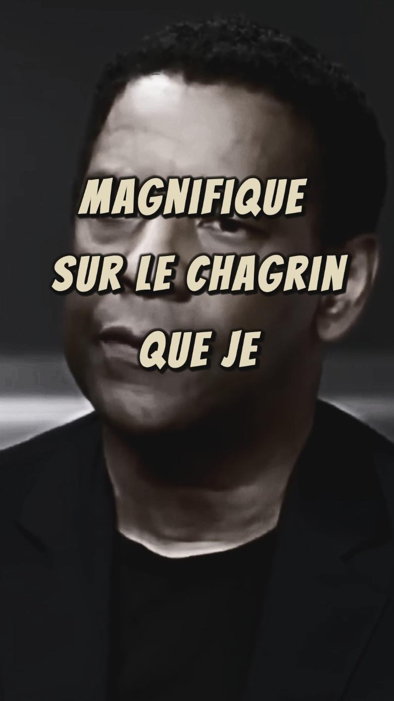 Le chagrin est comme une pierre que l'on porte dans sa poche. Au début, on la remarque tout le temps. On sent son poids et elle est constamment présente à l'esprit. Mais avec le temps, on devient plus fort. C'est un rappel que guérir ne signifie pas oublier. Cela signifie apprendre à porter cette pierre avec grâce et résilience. #chagrin#motivation