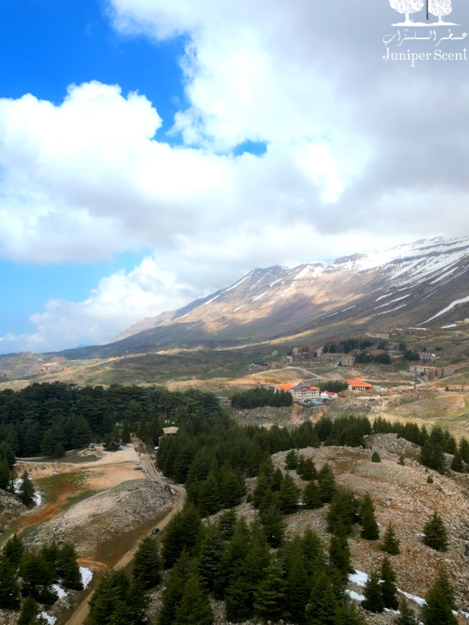 Bsharri Cedar Forest is more than just a natural retreat; it represents a profound blend of culture, history, religion, and environmental significance for the Lebanese. As the home of the largest and oldest *Cedrus libani* trees in the world, this majestic forest stands as a timeless symbol and a beloved natural haven for generations. #storiesoflebanon #juniperscent #culture #juniperscents #heritage #nature #cedarsofgod#forest#cedruslibani  #لبنان