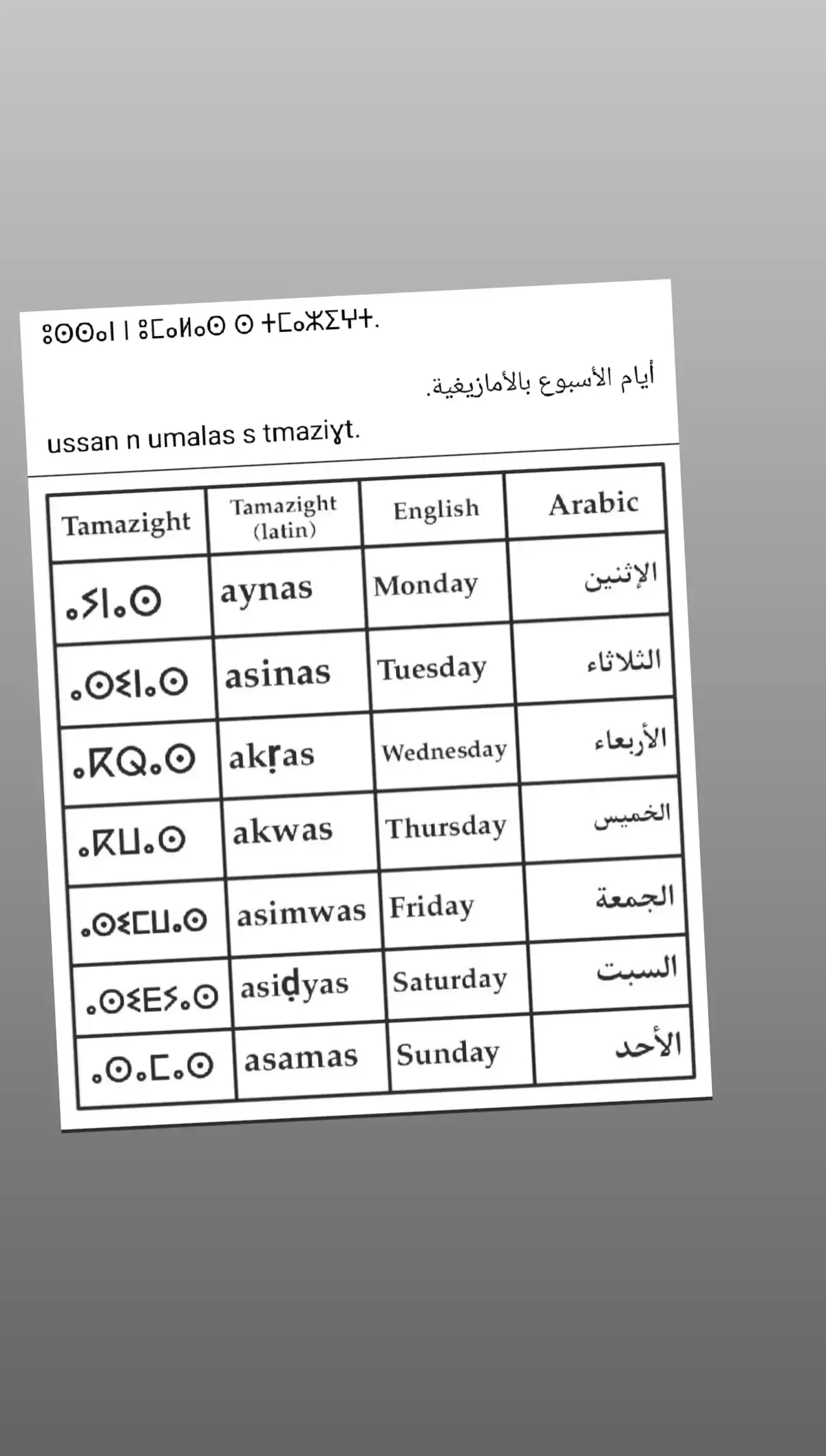 #الامازيغ #المغرب #اللغة #الحضارة #الجزاءر #تونس #مصر #فرنسا #سيوا #الامازيغية_هويتي_لغتي_اصلي_تاريخي 