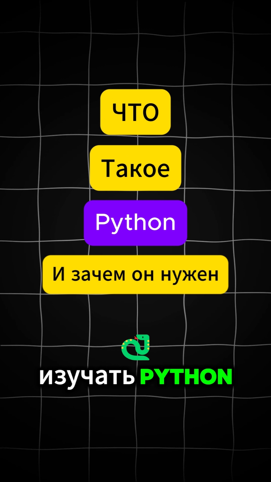 Как учить python правильно ? #программированиедляновичков #программирование #программированиеснуля 