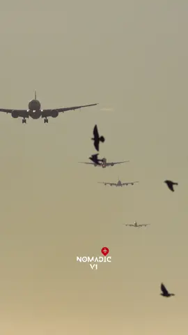 Morning Traffic! ☀️  . #nomadicv1 #a380 #aviation 