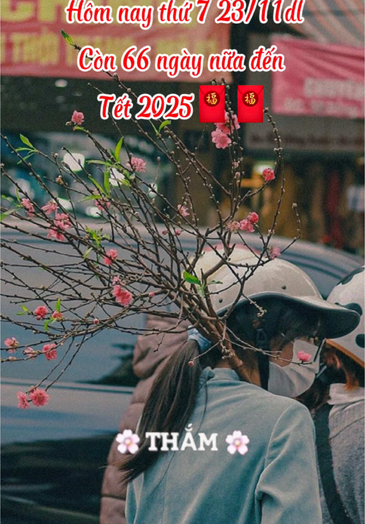 Nôn quá mn ơi. 66 ngày nữa thôi #tet2025 