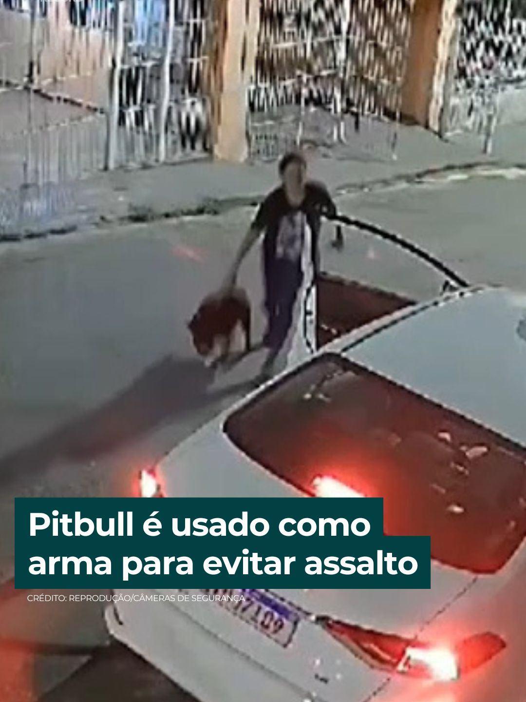 Uma mulher, ao perceber que o marido está sendo assaltado, solta o cachorro pitbull em cima dos ladrões! Assustados, os criminosos fogem correndo. A cena levanta a questão: a tutora agiu certo ao usar o cão como defesa numa situação tão perigosa, como um assalto? E você, o que acha? 👀 ➡️ É #DomingoNoDE, às 19h45!