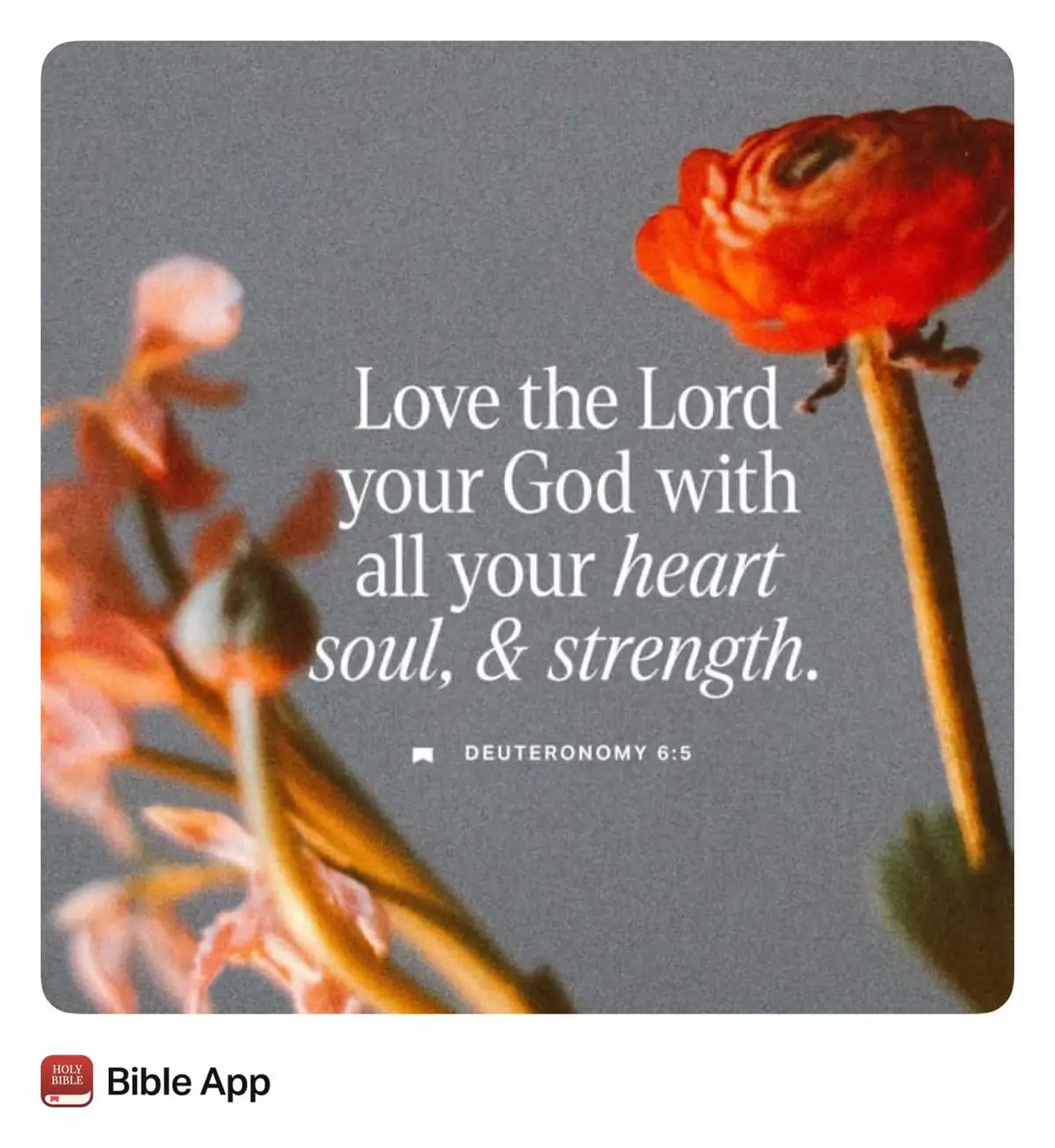 Good afternoon. Just getting a chance to go over the scripture and the prayer, but as I always say it’s never too late to pray. Before I read my devotional today, the scripture, and the prayer, in my personal prayer I had just gotten through telling God that I love him from the top of my head to the soles of my feet, and that everything within me loves Him, adores and magnifies Him. Then the scripture today….. I know sometimes it’s hard to remember how much you love God when you’re going through trials, challenges, test hard times, because we are so focused on what we’re going through at the time. Those are the times that we need to love God the most because he’s the one who helps us to go through all of those things. Today as you pray this prayer, if you’re going through something right now or even if everything is good, always keep at the forefront of your mind that God is always good. He first loved us so we owe him to love him back. Make it a great day.  #journey4theheart #beginyourdaywithprayer #itsnevertoolatetopray #loveGod 