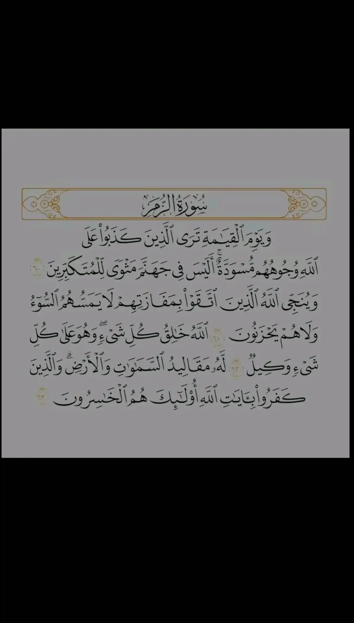 #قران_كريم #قران #تلاوه_قرانيه #تلاوة_خاشعة #صلي_علي_النبي_محمد_صلي_الله_عليه_وسلم 