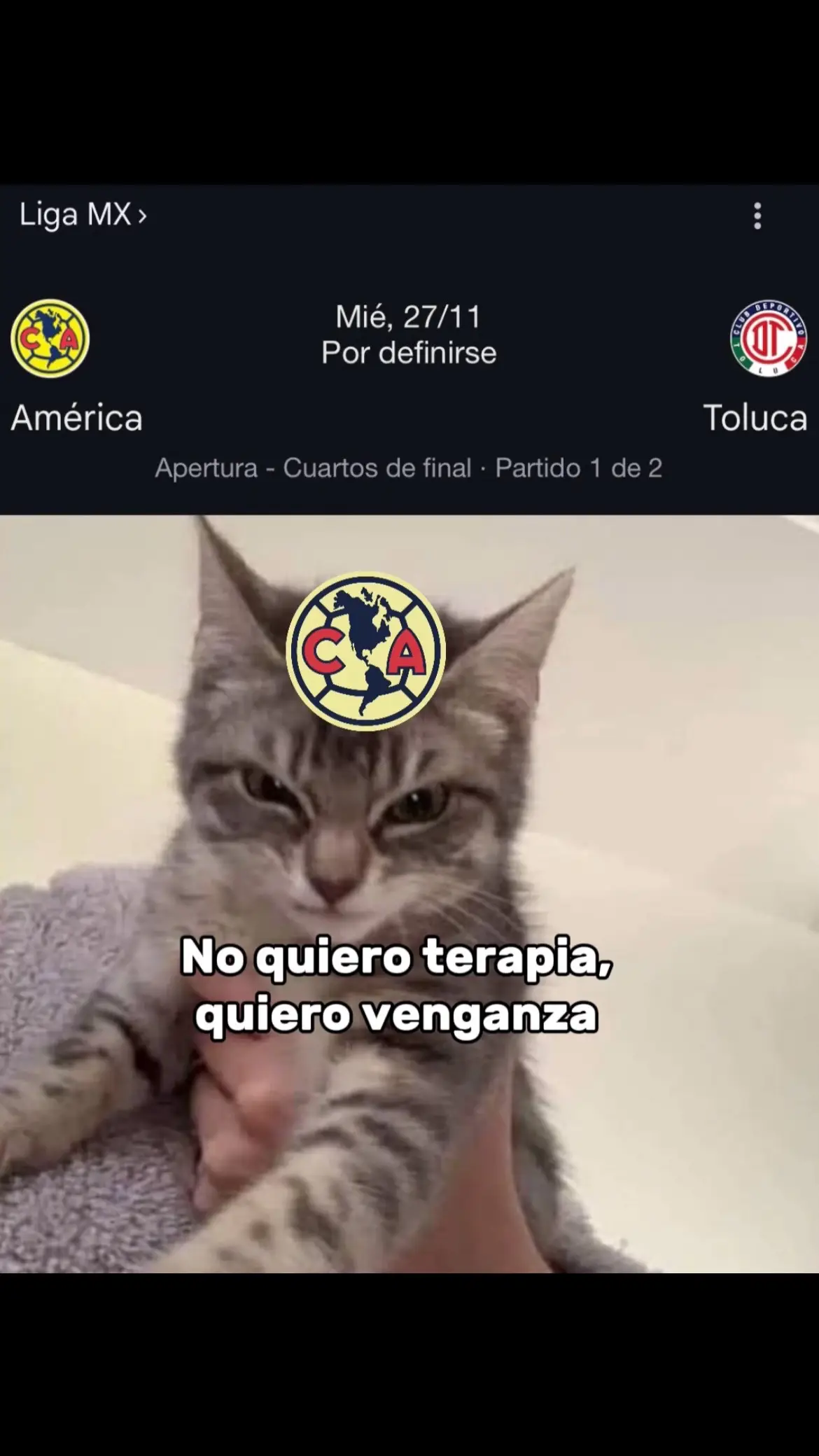 #clubamerica #ligamx #aguilasdelamerica #mexico #parati 