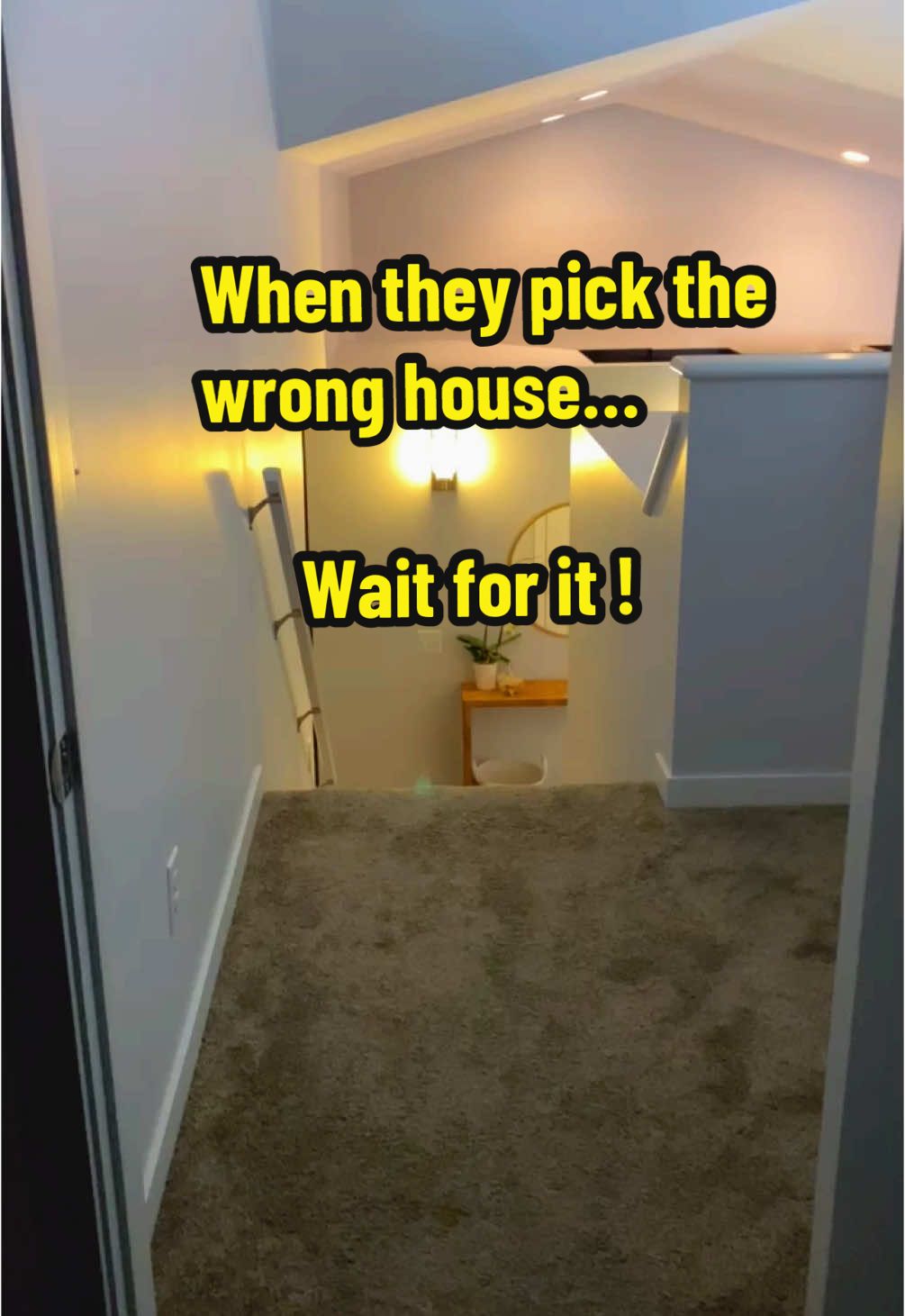 When they pick the wrong house 🔫😳! #smarthome #alexa #smarthomeinspiration #phillipshue #