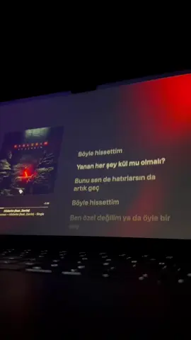 Hislerim (feat. Zerrin)- Serhat Durmus #fyp #song #lyrics #serhatdurmus #zerrin 