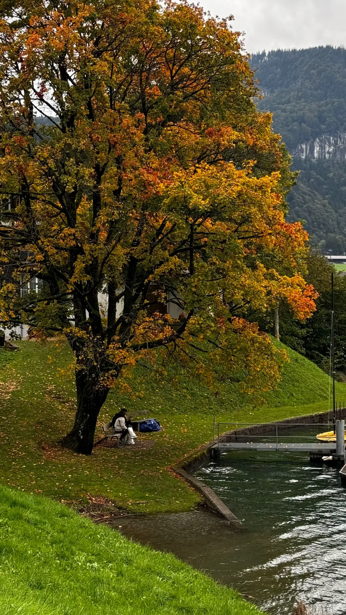 Fall picnic🍂🤎🧺🍁