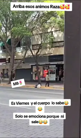 #mesientofeliz #viralvideo #Viral #viraltiktok #paratii #foryou #humor #parati #parami #memestiktok #memes #risa #videogracioso #risastiktok 