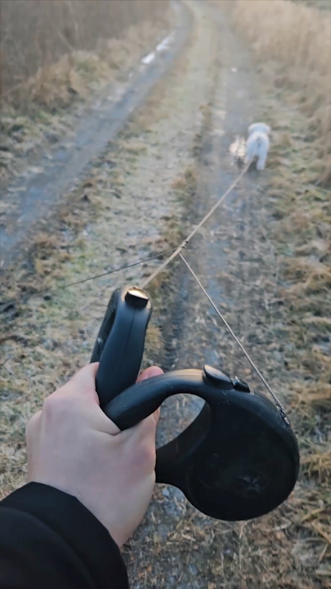 🐕🐕🚶‍♂️Two dogs, One Leash #fyp #campo #animalsoftiktok #freeshipping #tiktokmademebuyit #giftideas 