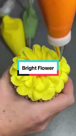While it’s cold and freezing outside, it’s still summer in my kitchen with this yellow buttercream flower. Two of my nozzles used a coupler, and I show in the video how you can easily transition between the two nozzles with only one piping bag. Nozzle details are in my video. ##buttercreamflower##cupcakeflower##cupcakebouquet##cupcake##flower##yellowflower##debbiebakes##cupcakesoftiktok