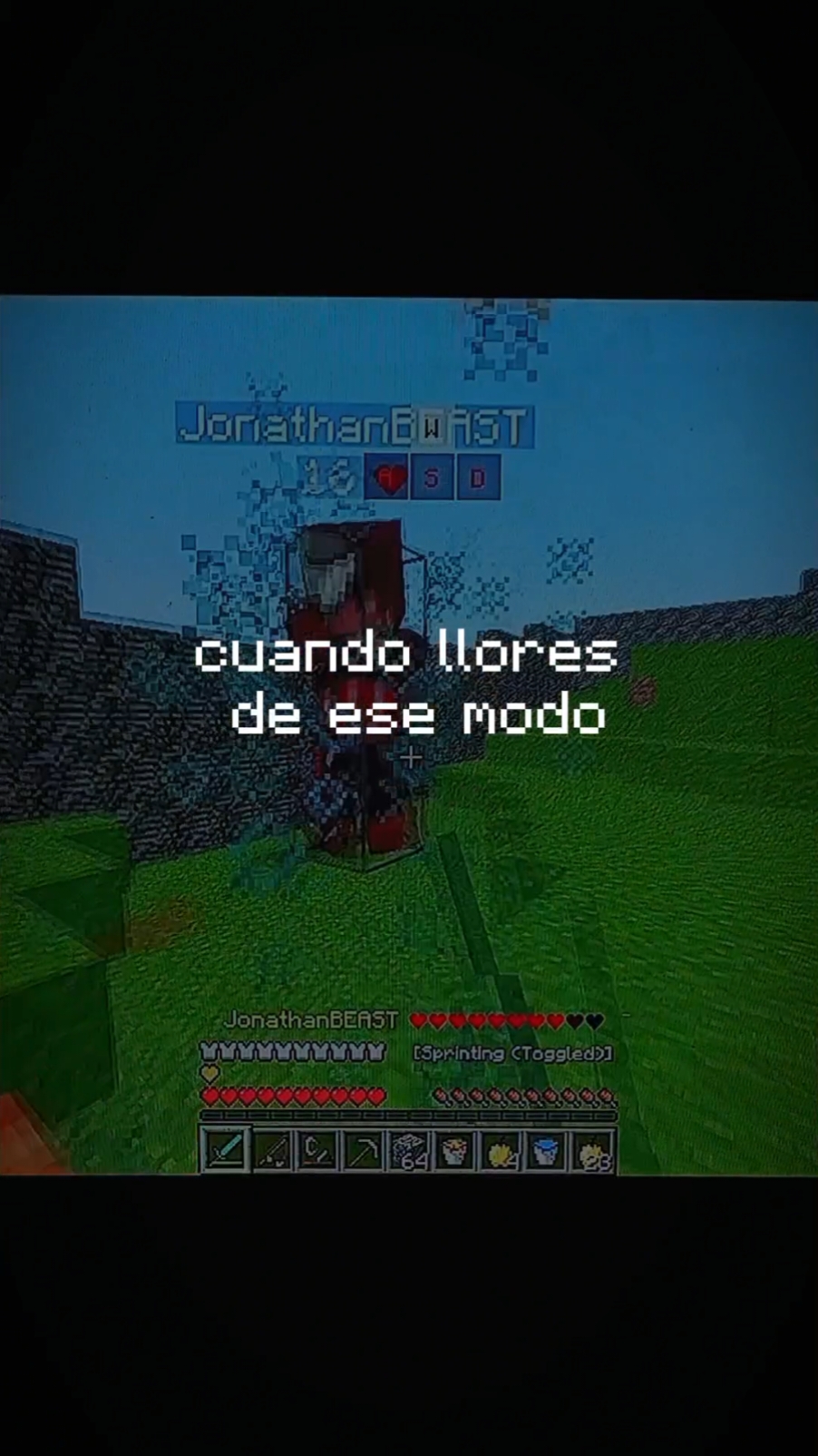 #Minecraft #pedrosuarezvertiz 