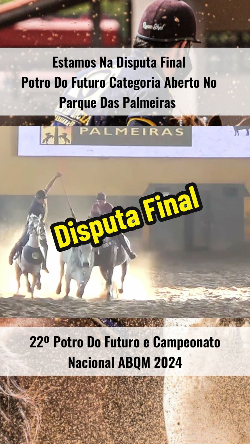 Disputa Final #vaqueiro #vaquejada #cavalo #disputa 