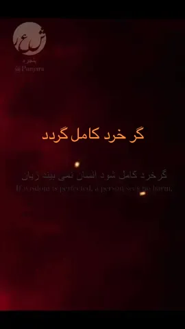 ‎دكلمه: شهيد خطيبى #farsi_poetry #persianpoems #iranianpoetry #persianliterature #persianpoetry #عاشقانه_ها #ادبیات_کهن #شعر_معاصر #شعر_و_ادبیات #شعر_ناب #سعدی #حافظ #مولانا #غزل #شعر_عاشقانه #شاعری #شعر_کوتاه #ادبیات #شعر_فارسی #شعر