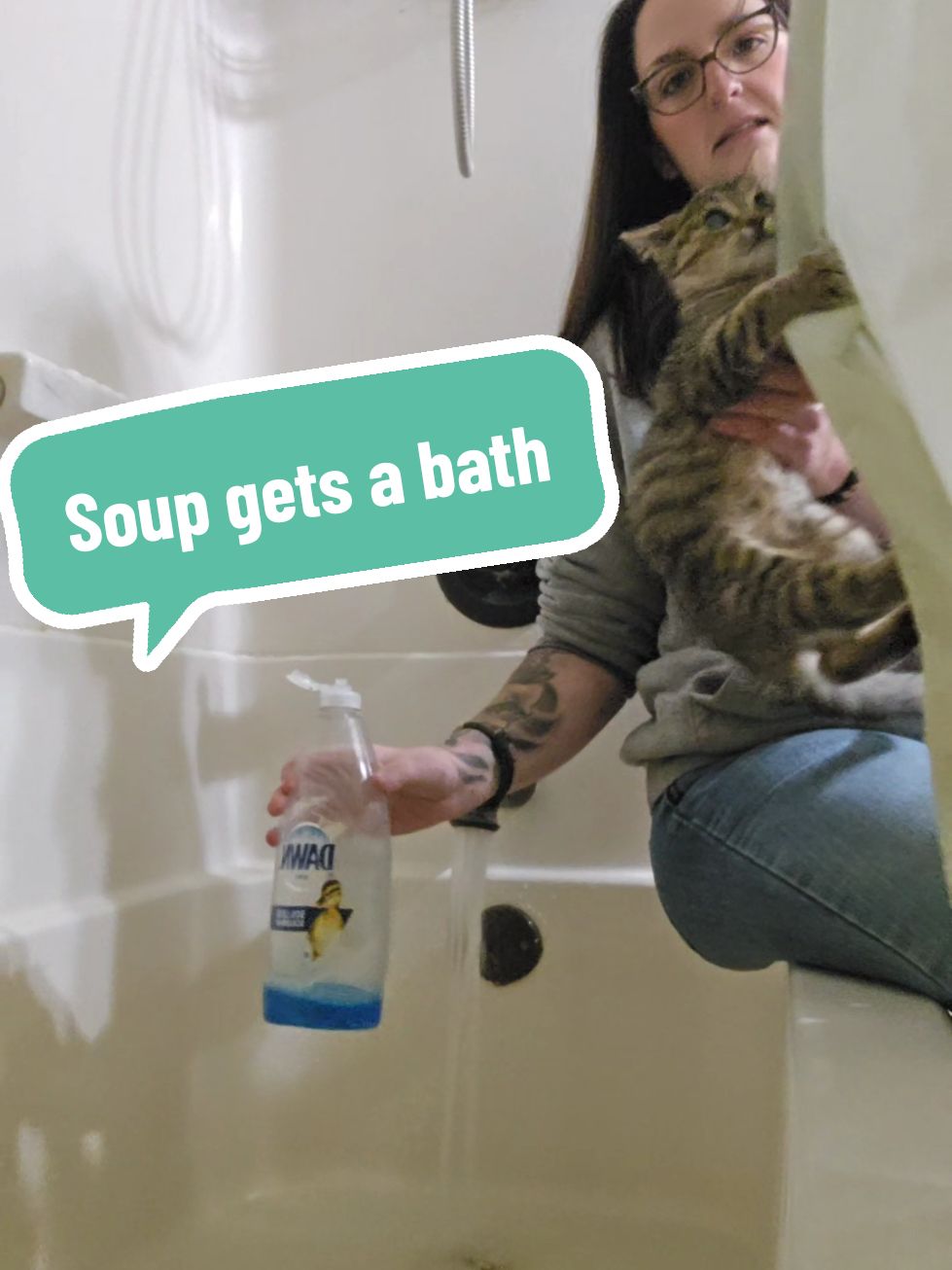 Replying to @hmoney.07 slightly less stinky, but I think he's holding a grudge now. #soup #soupthecat #bath #bathtime #kitten #kittentok #kittensoftiktok #cats #cattok #catsoftiktok #barncat #smelly #smellycat #chickens #adoptdontshop #rescue #tabby #homestead #emo #millenial #2000s #genx 