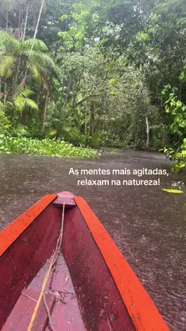 Natureza é perfeita #viral #interior 