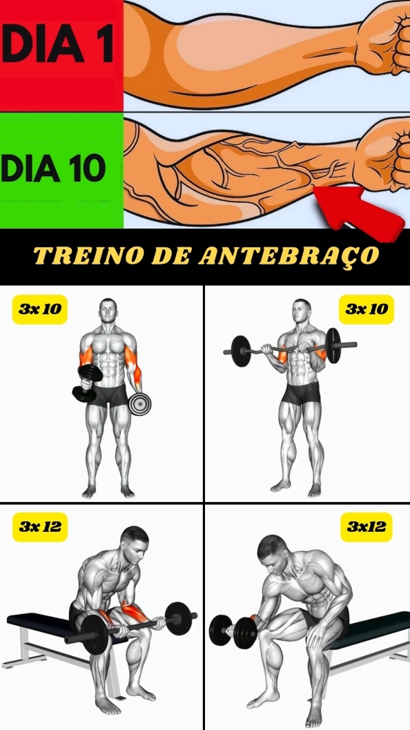 Exercícios para antebraço   #treino #antebraço #biceps  #GymTok #treinoemcasa #treinocompleto  #creatorsearchinsights 