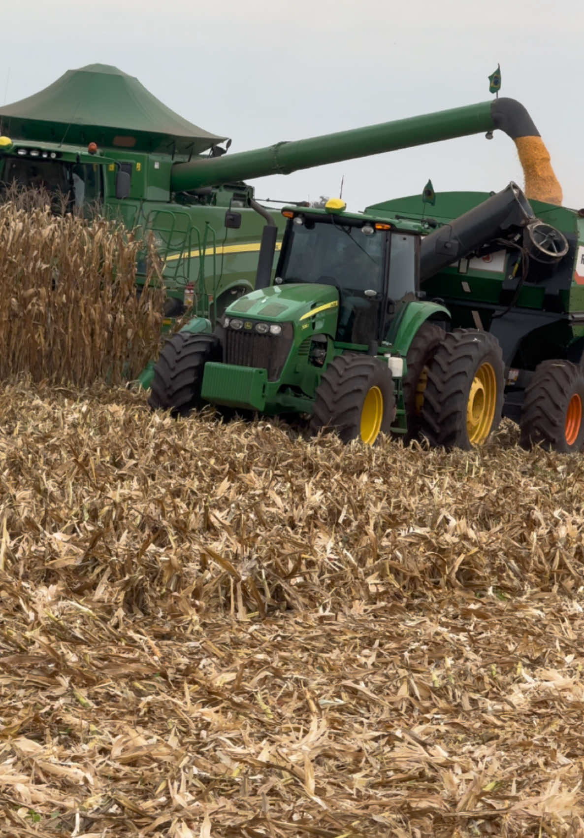 🥱✌️🚜🌽🇧🇷 #fypageシ #fyppppppppppppppppppppppp #fypage #parana #johndeere #agro #farming #brasil 