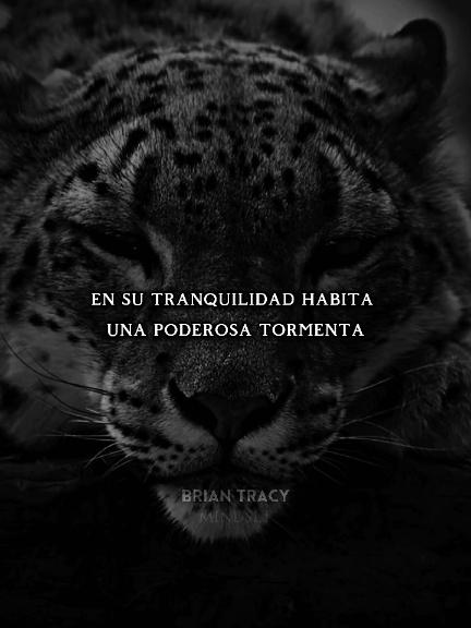 La calma antes de la tormenta.  #motivacional #briantracy #inspiracional #paratiiii #motivacionpersonal 