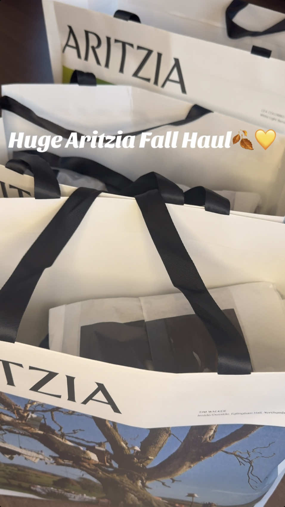 Another Aritzia haul 💛🍂 Going back next week to check out their boxing day sales, stay tuned🥰 #fyp #aritzia #aritziahaul #aritziaoutfits #aritziastyle #fall #aesthetic #fashion #sweaterweather #cute #fallclothes #winterclothes #sephoraalışverişim 