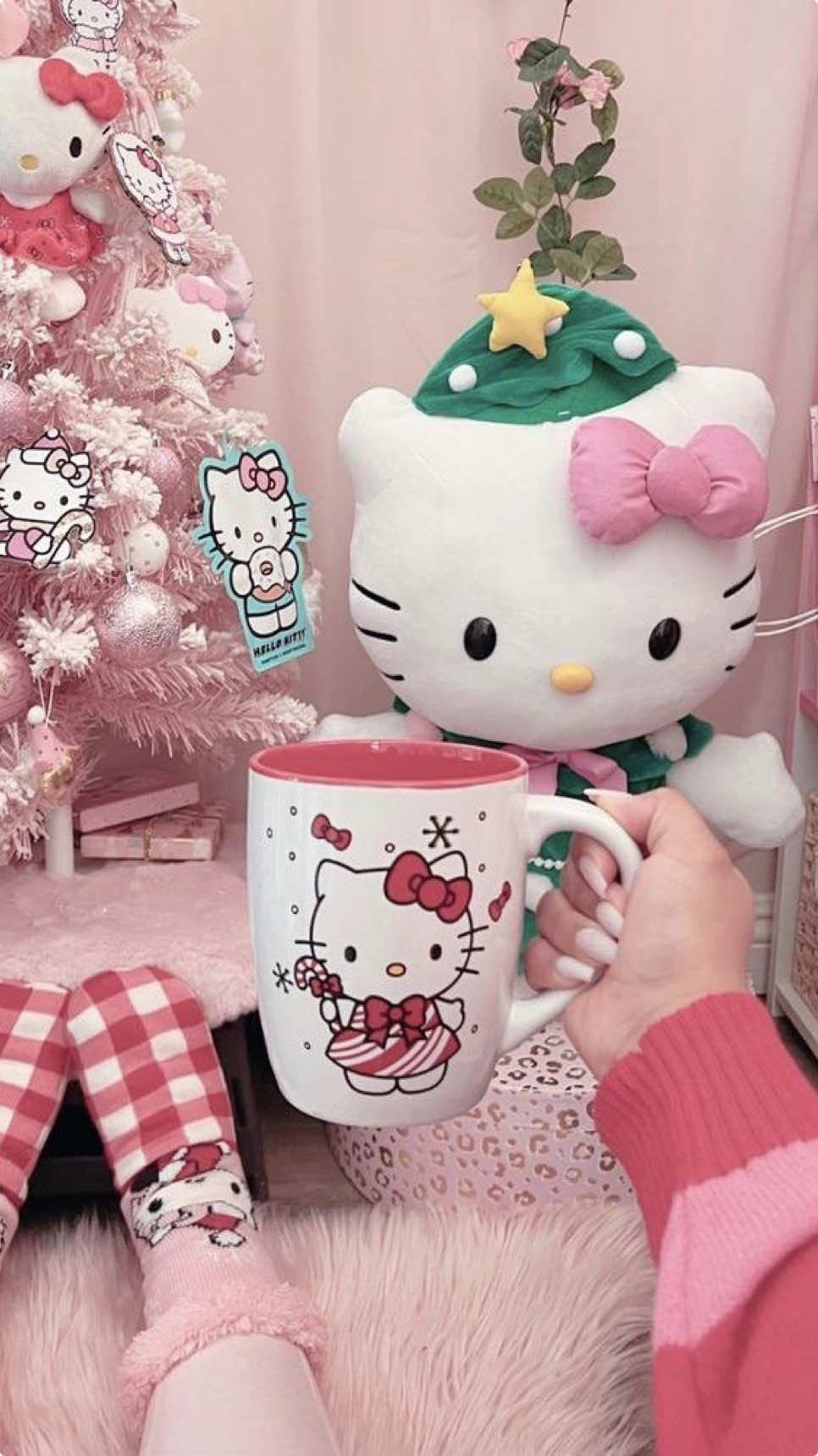 sống chít có hello kitty #hellokitty 