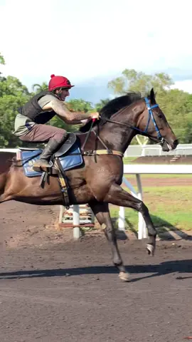 “La Boqueira” and Aaron Sweeney #horseracing #baxterthoroughbreds #racehorses #darwinturfclub #jumpout #horseracingedit #racehorseedit #thoroughbred #racehorsesoftiktok #jockey #trackwork #horselovers #horsegirls #equestriangirl #horsesoftiktok 