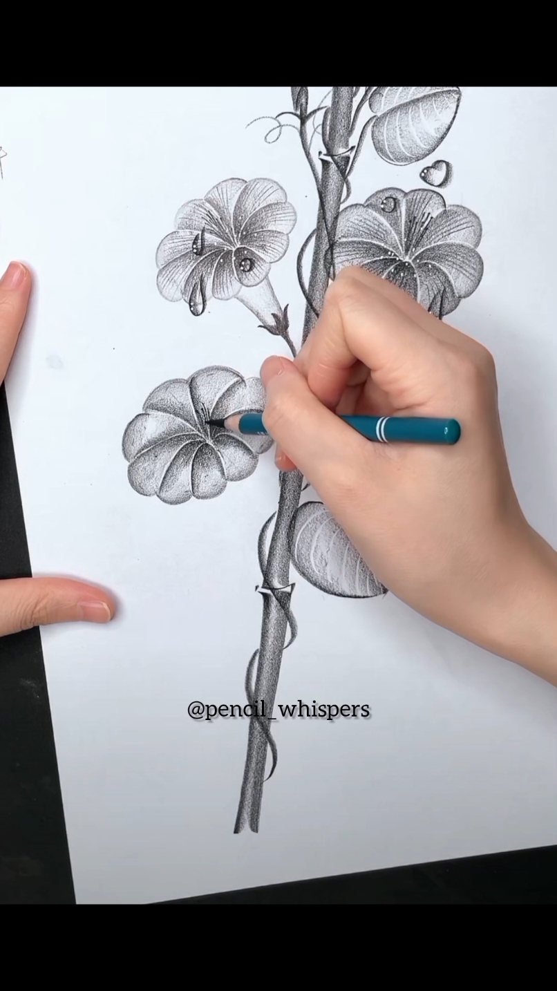 how to draw with Pencil ✏️  . . #howtodraw #drawingideas #artistsoftiktok #pencilart #draw #fyp #drawings #tutorial #flowers 