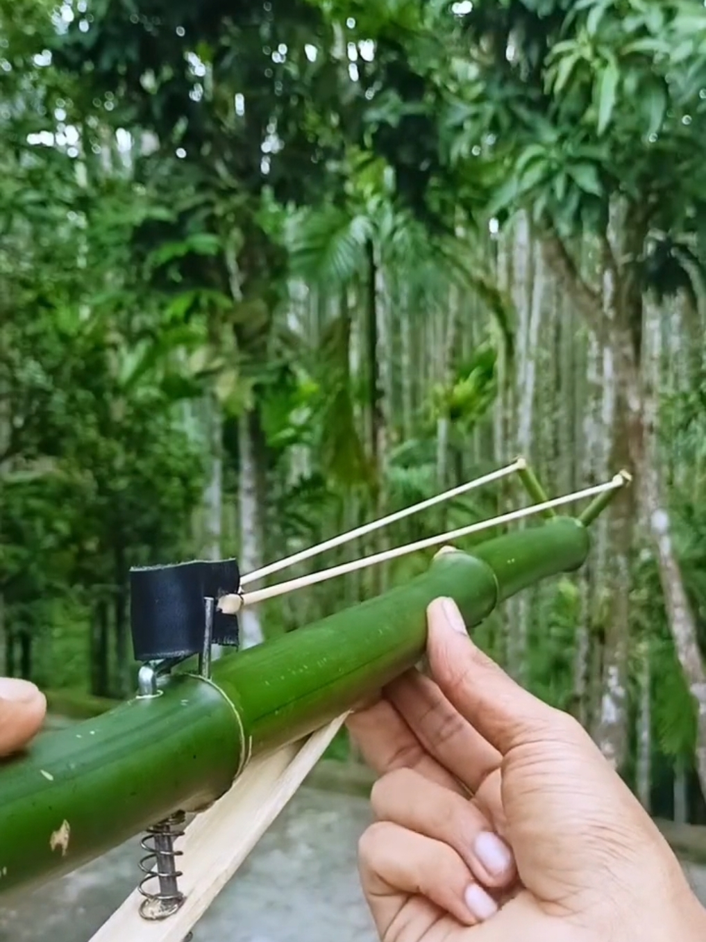 bamboo craft viral video fyp foryoupage#bamboocraft #bamboo #bamboocrafts #bamboocraftideas #bambooshorts #bambooslingshots #bambooart #bambooidea #bamboocups 