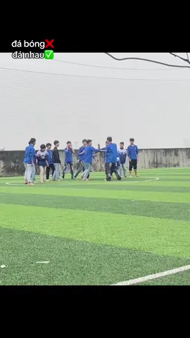 là đá dữ chưa☺️#ccl #10a1 #thptccl #xhtiktok #xuhuong 