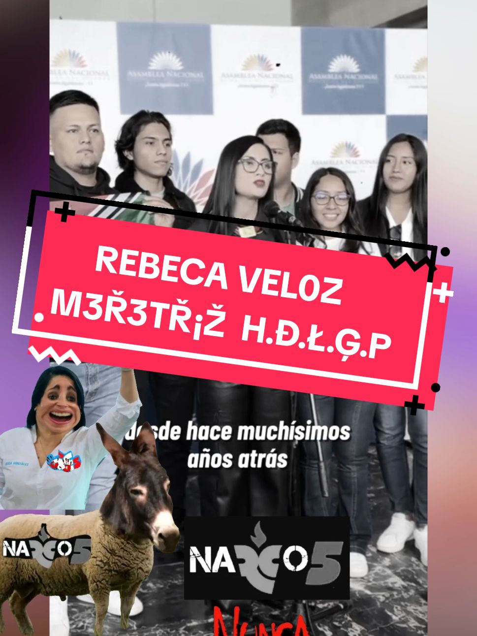 #Correismo #Gdorc5 #urgente #condecoracion #rebecaveloz #vivianaveloz #santoDomingoDeLosTsachilas #UniversidadSantoDomingoDeLosTsachilas #VivianaVelozVotoEnContra #NuncaMas 