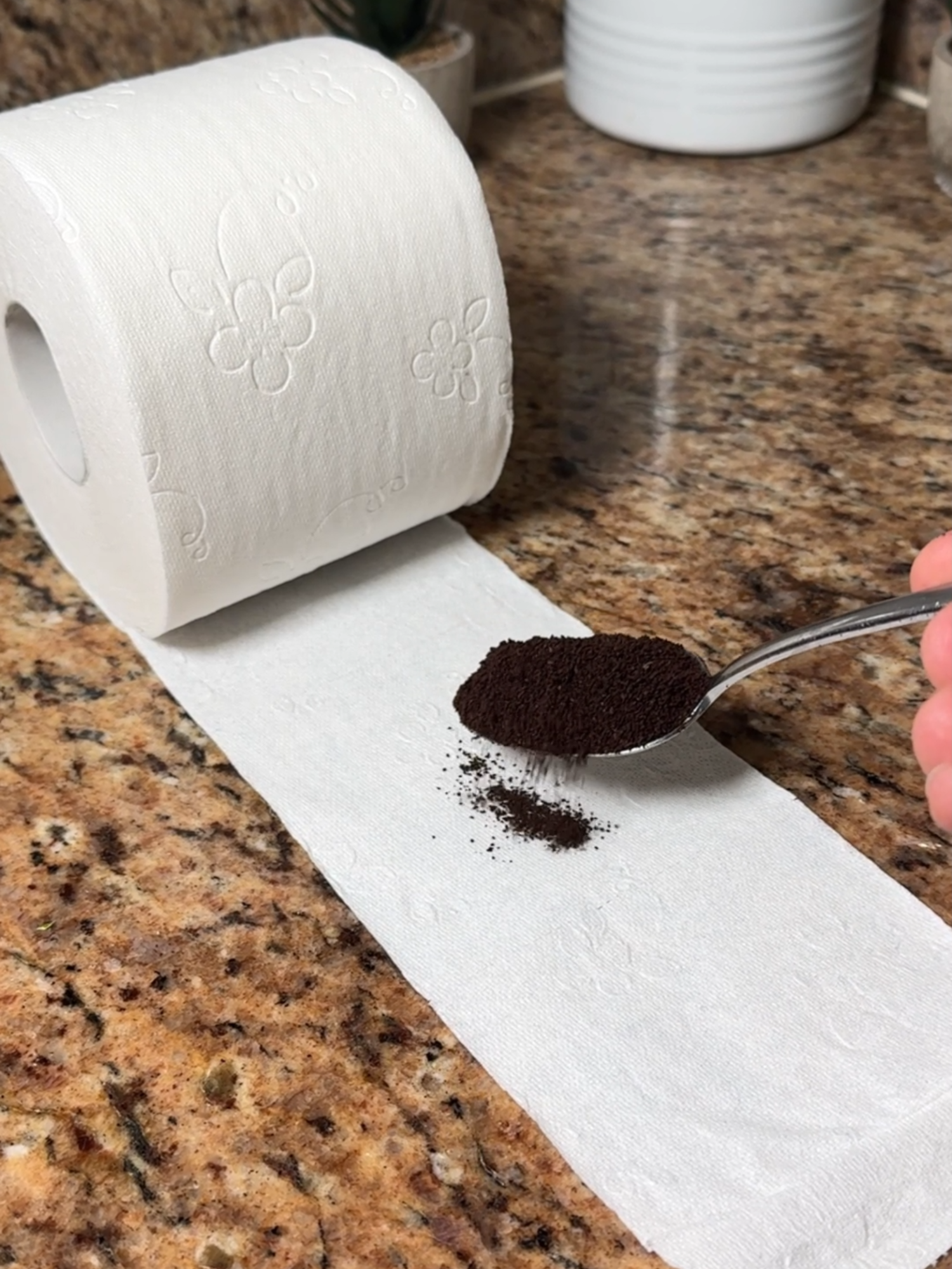 Put coffee on toilet paper and you’ll be surprised by the result! #LifeHacks #pestcontrol #TrendingNow